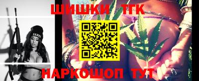 тгк Бердск