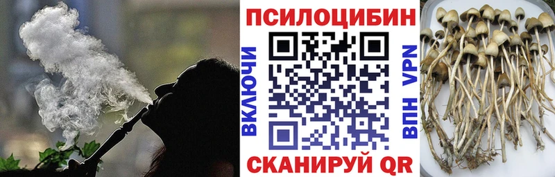 hydra ONION  Серпухов  Псилоцибиновые грибы прущие грибы 