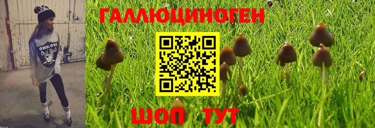 Серпухов  Галлюциногенные грибы MAGIC MUSHROOMS  Псилоцибиновые грибы MAGIC MUSHROOMS  Вход с VPN 